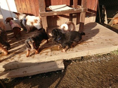 f:id:roukenhome-ann:20190120075428j:plain f:id:roukenhome-ann:20190120075428j:plain