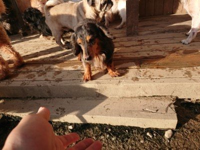 f:id:roukenhome-ann:20190120075432j:plain f:id:roukenhome-ann:20190120075432j:plain