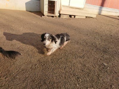 f:id:roukenhome-ann:20190120075451j:plain f:id:roukenhome-ann:20190120075451j:plain