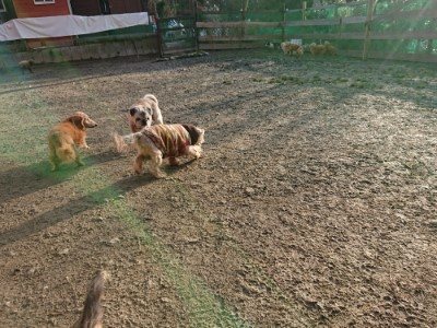 f:id:roukenhome-ann:20190120075504j:plain f:id:roukenhome-ann:20190120075504j:plain