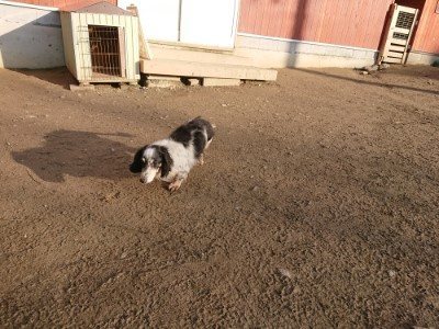 f:id:roukenhome-ann:20190120075513j:plain f:id:roukenhome-ann:20190120075513j:plain