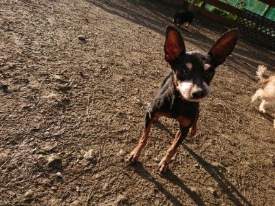 f:id:roukenhome-ann:20190120075532j:plain f:id:roukenhome-ann:20190120075532j:plain