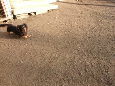 f:id:roukenhome-ann:20190120075536j:plain f:id:roukenhome-ann:20190120075536j:plain