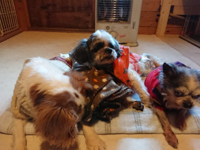 f:id:roukenhome-ann:20190120075546j:plain f:id:roukenhome-ann:20190120075546j:plain