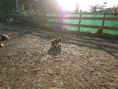 f:id:roukenhome-ann:20190120075552j:plain f:id:roukenhome-ann:20190120075552j:plain