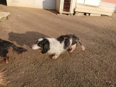 f:id:roukenhome-ann:20190120075556j:plain f:id:roukenhome-ann:20190120075556j:plain