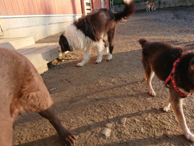 f:id:roukenhome-ann:20190120075608j:plain f:id:roukenhome-ann:20190120075608j:plain