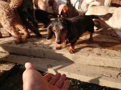 f:id:roukenhome-ann:20190120075617j:plain f:id:roukenhome-ann:20190120075617j:plain