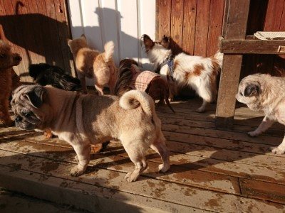 f:id:roukenhome-ann:20190120075621j:plain f:id:roukenhome-ann:20190120075621j:plain