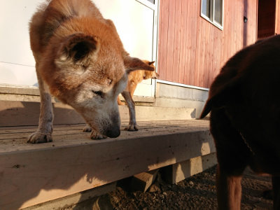 f:id:roukenhome-ann:20190120075625j:plain f:id:roukenhome-ann:20190120075625j:plain