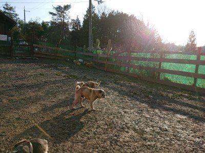 f:id:roukenhome-ann:20190120075639j:plain f:id:roukenhome-ann:20190120075639j:plain