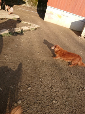 f:id:roukenhome-ann:20190120075643j:plain f:id:roukenhome-ann:20190120075643j:plain