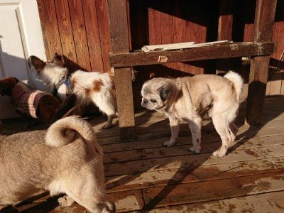 f:id:roukenhome-ann:20190120075647j:plain f:id:roukenhome-ann:20190120075647j:plain