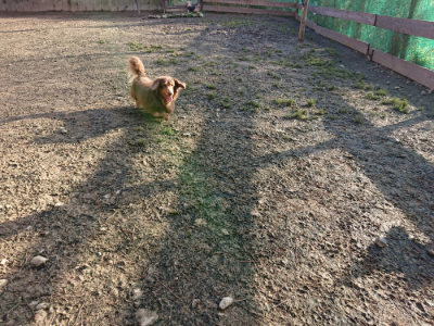 f:id:roukenhome-ann:20190120075657j:plain f:id:roukenhome-ann:20190120075657j:plain