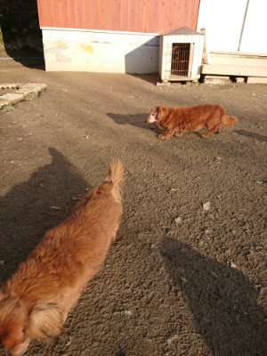 f:id:roukenhome-ann:20190120075707j:plain f:id:roukenhome-ann:20190120075707j:plain