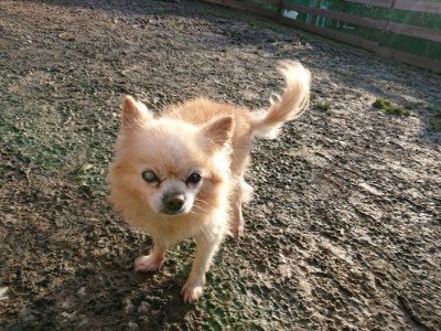 f:id:roukenhome-ann:20190120075711j:plain f:id:roukenhome-ann:20190120075711j:plain