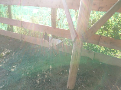 f:id:roukenhome-ann:20190120075716j:plain f:id:roukenhome-ann:20190120075716j:plain