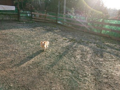 f:id:roukenhome-ann:20190120075720j:plain f:id:roukenhome-ann:20190120075720j:plain