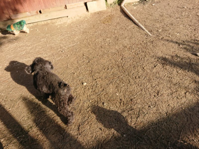 f:id:roukenhome-ann:20190120075730j:plain f:id:roukenhome-ann:20190120075730j:plain