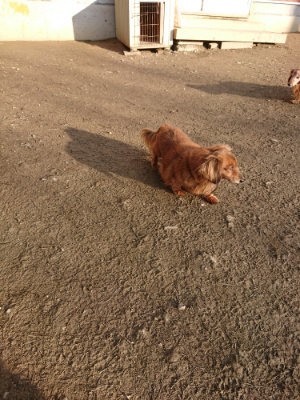 f:id:roukenhome-ann:20190120075736j:plain f:id:roukenhome-ann:20190120075736j:plain