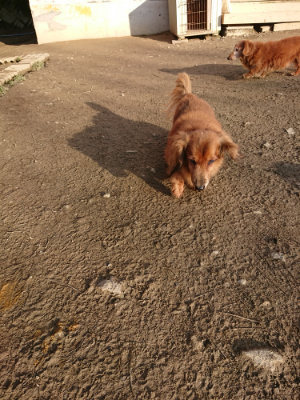 f:id:roukenhome-ann:20190120075741j:plain f:id:roukenhome-ann:20190120075741j:plain