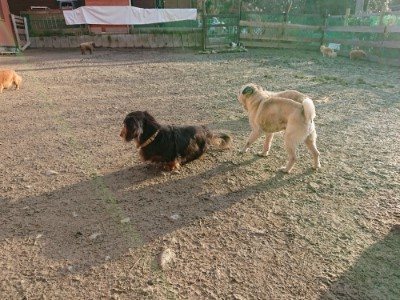 f:id:roukenhome-ann:20190120080411j:plain f:id:roukenhome-ann:20190120080411j:plain