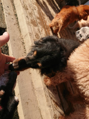 f:id:roukenhome-ann:20190120080416j:plain f:id:roukenhome-ann:20190120080416j:plain