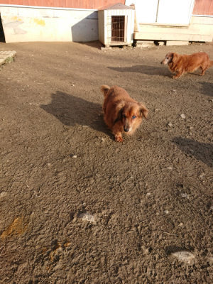 f:id:roukenhome-ann:20190120080421j:plain f:id:roukenhome-ann:20190120080421j:plain