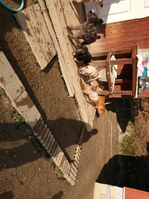 f:id:roukenhome-ann:20190120080426j:plain f:id:roukenhome-ann:20190120080426j:plain