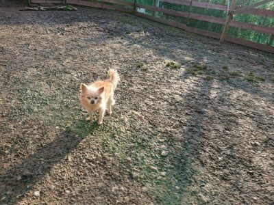 f:id:roukenhome-ann:20190120080430j:plain f:id:roukenhome-ann:20190120080430j:plain