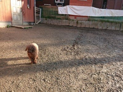 f:id:roukenhome-ann:20190120080435j:plain f:id:roukenhome-ann:20190120080435j:plain