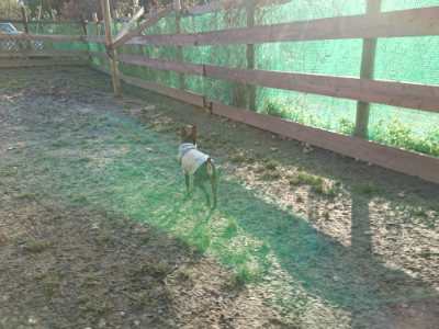 f:id:roukenhome-ann:20190120080439j:plain f:id:roukenhome-ann:20190120080439j:plain