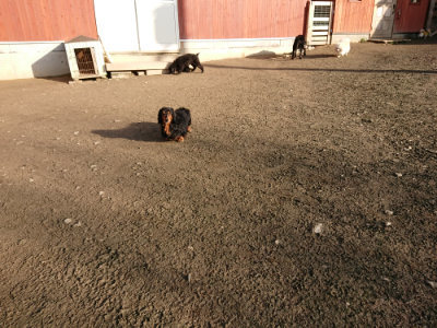 f:id:roukenhome-ann:20190120080444j:plain f:id:roukenhome-ann:20190120080444j:plain