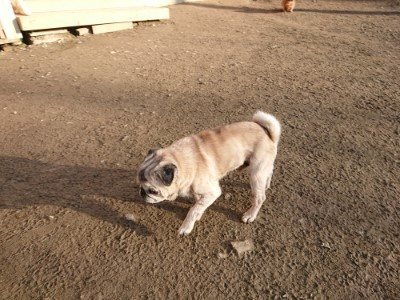 f:id:roukenhome-ann:20190120080449j:plain f:id:roukenhome-ann:20190120080449j:plain