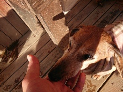 f:id:roukenhome-ann:20190120080452j:plain f:id:roukenhome-ann:20190120080452j:plain