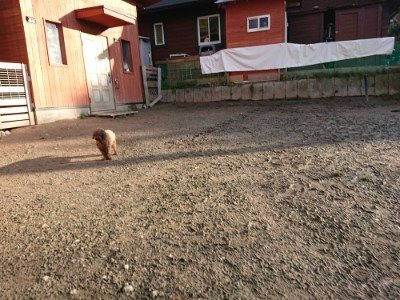 f:id:roukenhome-ann:20190120080458j:plain f:id:roukenhome-ann:20190120080458j:plain