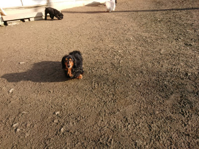 f:id:roukenhome-ann:20190120080509j:plain f:id:roukenhome-ann:20190120080509j:plain