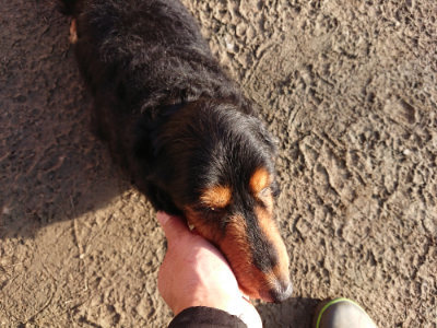 f:id:roukenhome-ann:20190120080515j:plain f:id:roukenhome-ann:20190120080515j:plain