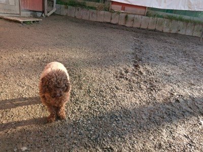 f:id:roukenhome-ann:20190120080523j:plain f:id:roukenhome-ann:20190120080523j:plain