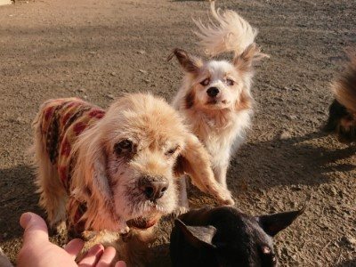 f:id:roukenhome-ann:20190120080527j:plain f:id:roukenhome-ann:20190120080527j:plain