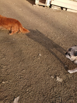 f:id:roukenhome-ann:20190120080532j:plain f:id:roukenhome-ann:20190120080532j:plain