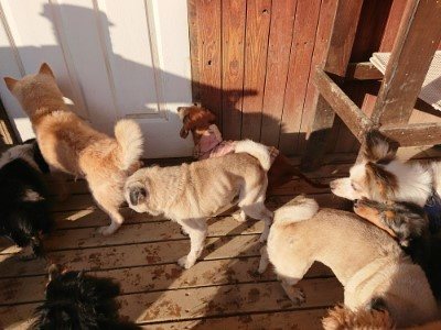 f:id:roukenhome-ann:20190120080536j:plain f:id:roukenhome-ann:20190120080536j:plain