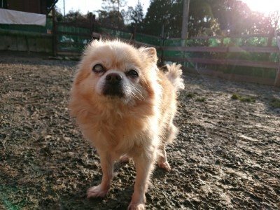 f:id:roukenhome-ann:20190120080540j:plain f:id:roukenhome-ann:20190120080540j:plain