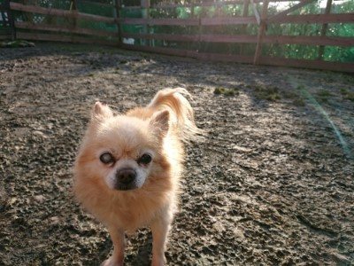 f:id:roukenhome-ann:20190120080544j:plain f:id:roukenhome-ann:20190120080544j:plain