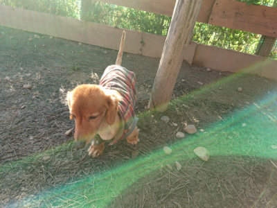 f:id:roukenhome-ann:20190120080550j:plain f:id:roukenhome-ann:20190120080550j:plain