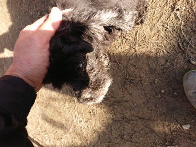 f:id:roukenhome-ann:20190120080554j:plain f:id:roukenhome-ann:20190120080554j:plain