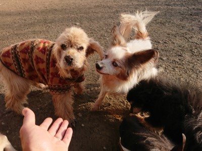 f:id:roukenhome-ann:20190120080557j:plain f:id:roukenhome-ann:20190120080557j:plain