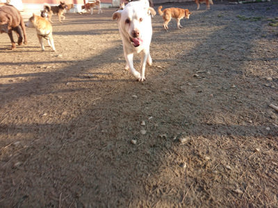 f:id:roukenhome-ann:20190120080607j:plain f:id:roukenhome-ann:20190120080607j:plain