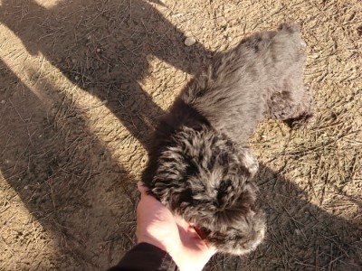 f:id:roukenhome-ann:20190120080616j:plain f:id:roukenhome-ann:20190120080616j:plain