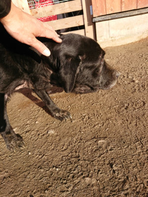 f:id:roukenhome-ann:20190120083146j:plain f:id:roukenhome-ann:20190120083146j:plain